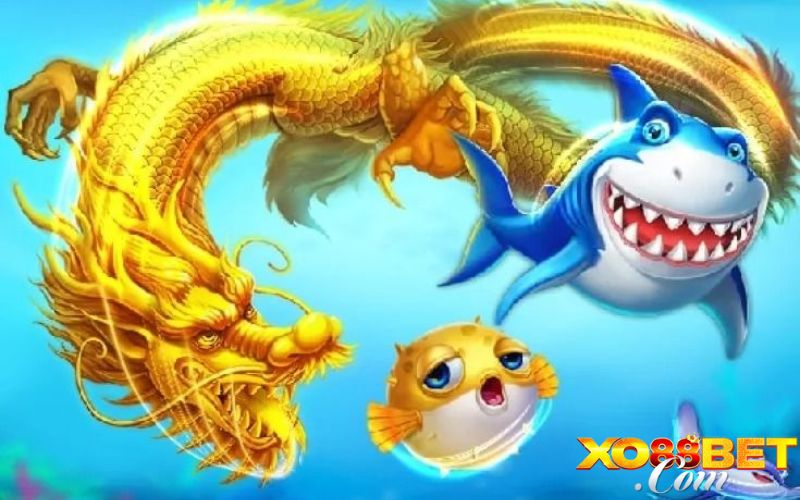 Đôi nét sơ lược về bắn cá rồng lửa XO88