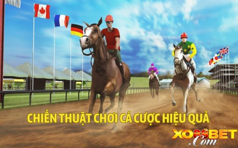 Chiến thuật chơi cá cược hiệu quả Chiến thuật chơi cá cược hiệu quả