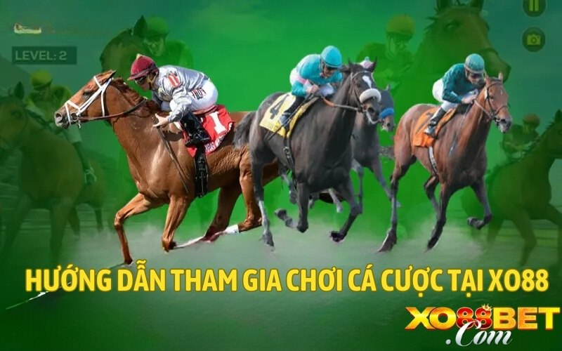 Hướng dẫn tham gia chơi cá cược tại XO88 Hướng dẫn tham gia chơi cá cược tại XO88