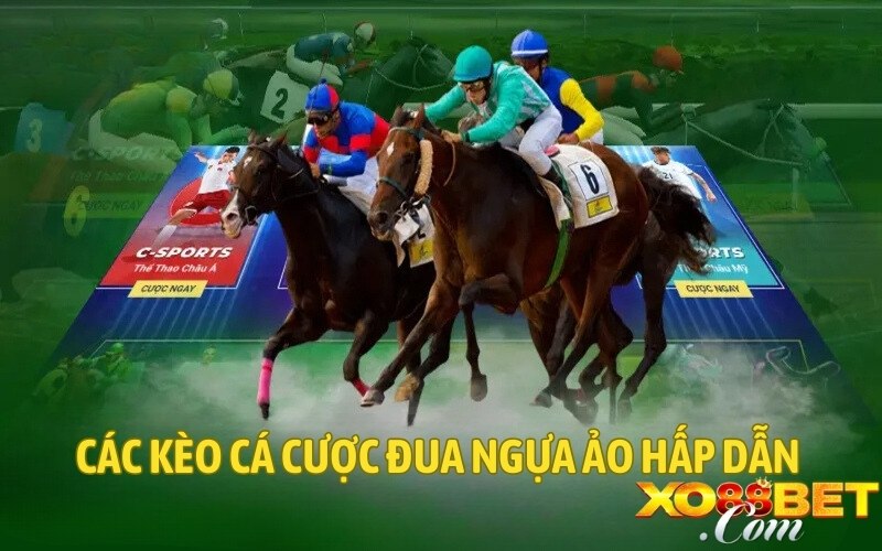 Các kèo cá cược đua ngựa ảo hấp dẫn Các kèo cá cược đua ngựa ảo hấp dẫn