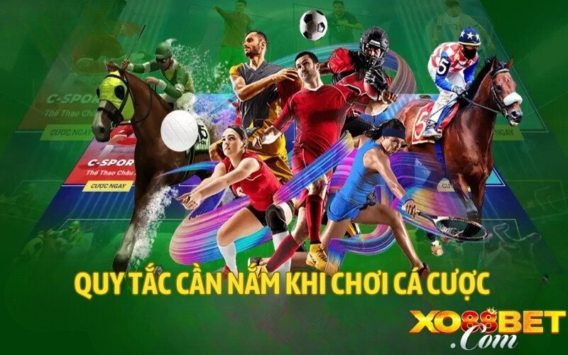 Quy tắc cần nắm khi chơi cá cược Quy tắc cần nắm khi chơi cá cược