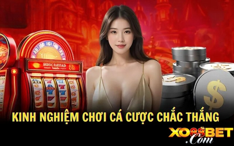 Kinh nghiệm chơi cá cược chắc thắng Kinh nghiệm chơi cá cược chắc thắng