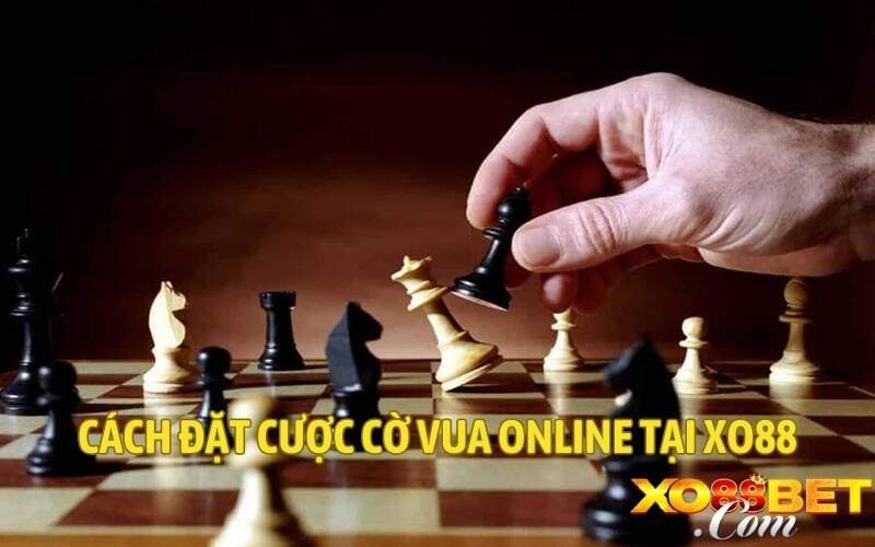 Cách tham gia đặt cược cờ vua online tại XO88