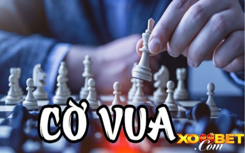 Các hình thức cá cược cờ vua tại XO88