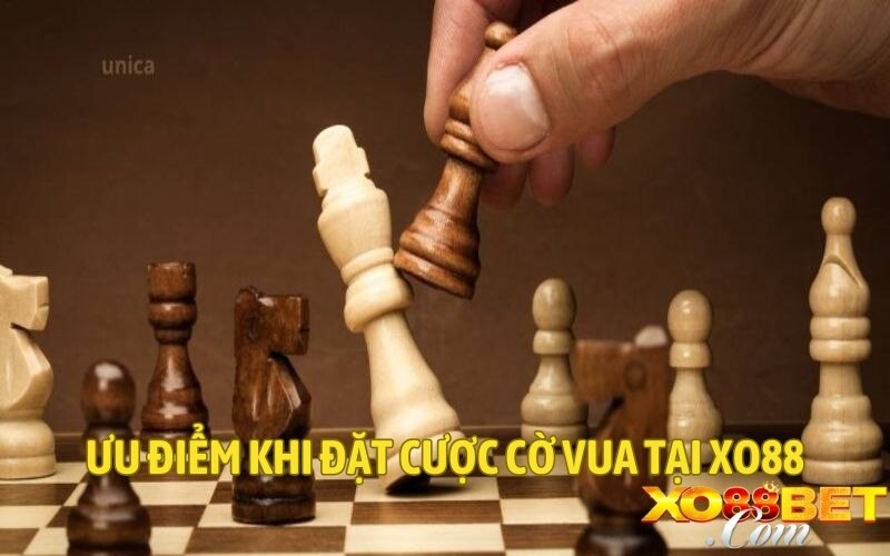 Ưu điểm khi đặt cược cờ vua tại XO88