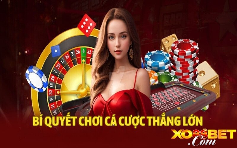 Bí quyết chơi cá cược thắng lớn Bí quyết chơi cá cược thắng lớn