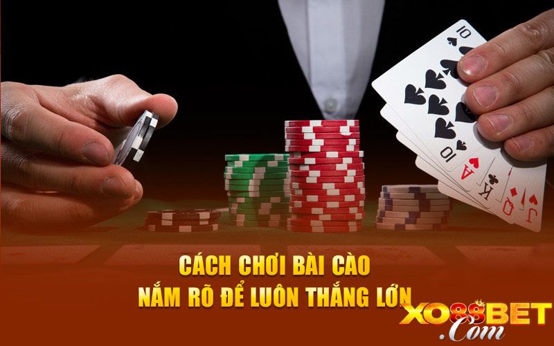 Luật cá cược game bài cào ba lá đổi thưởng Luật cá cược game bài cào ba lá đổi thưởng