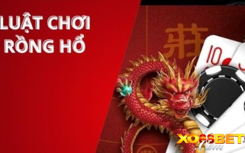 Luật đặt cược game bài Rồng Hổ cá cược Luật đặt cược game bài Rồng Hổ cá cược