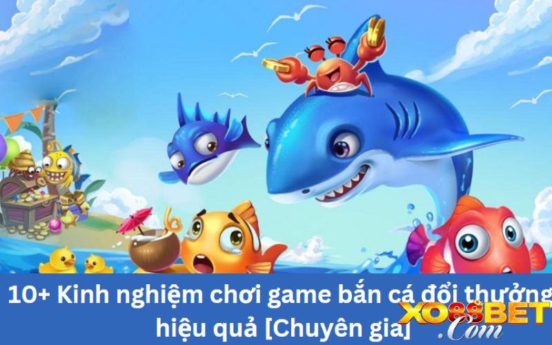 Mẹo chơi bắn cá săn thưởng lớn hiệu quả Mẹo chơi bắn cá săn thưởng lớn hiệu quả
