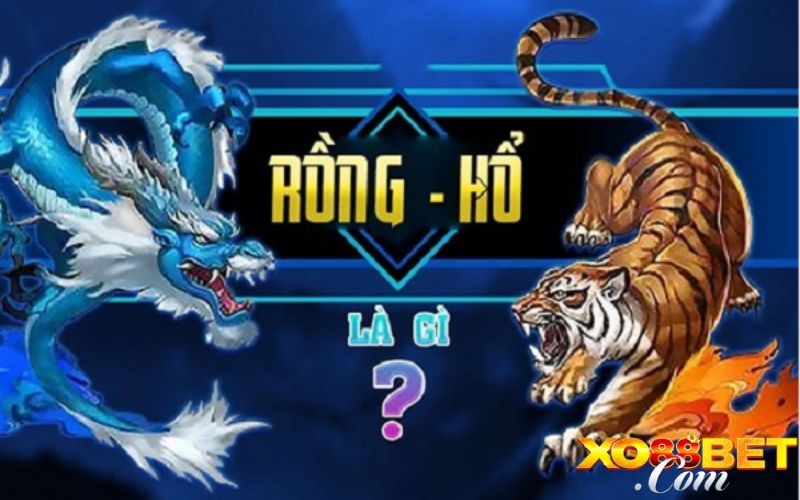 Tổng quan về tựa game bài Rồng Hổ cá cược Tổng quan về tựa game bài Rồng Hổ cá cược